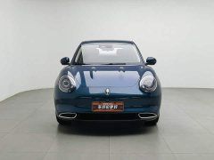 ORA Good Cat 401km Standard Range Luxury LFP - ფოტო 3
