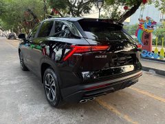 Jetour Jietu Dasheng 1.5T DCT Luxury - ფოტო 4