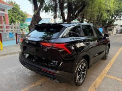 Jetour Jietu Dasheng 1.5T DCT Luxury - ფოტო 6