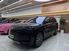 Denza N9 Flagship - ფოტო 1