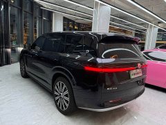 Denza N9 Flagship - ფოტო 17