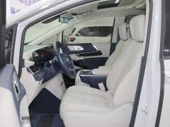 Buick Century 2.0T Seven-Seat Yun Shi Edition - photo 7