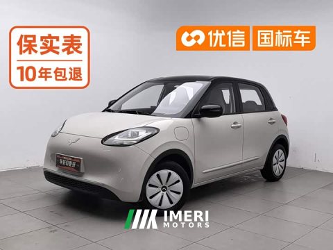 2024 Wuling Binguo 203km Light Enjoy Edition - ავტომობილი ჩინეთიდან