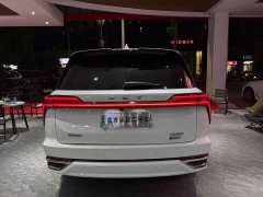 Great Wall WEY Blue Mountain Four-Wheel Drive Extended Range Version - ფოტო 8