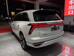 Great Wall WEY Blue Mountain Four-Wheel Drive Extended Range Version - ფოტო 9