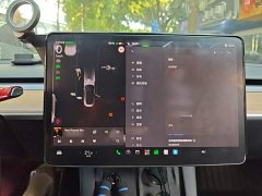 Tesla Model 3 Performance All-Wheel Drive - ფოტო 3