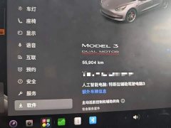 Tesla Model 3 Performance All-Wheel Drive - ფოტო 4