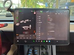 Tesla Model 3 Performance All-Wheel Drive - ფოტო 5