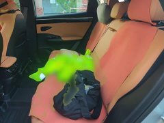 Geely Galaxy L7 1.5T 55km PRO Dragon Ascend Edition - фото 13