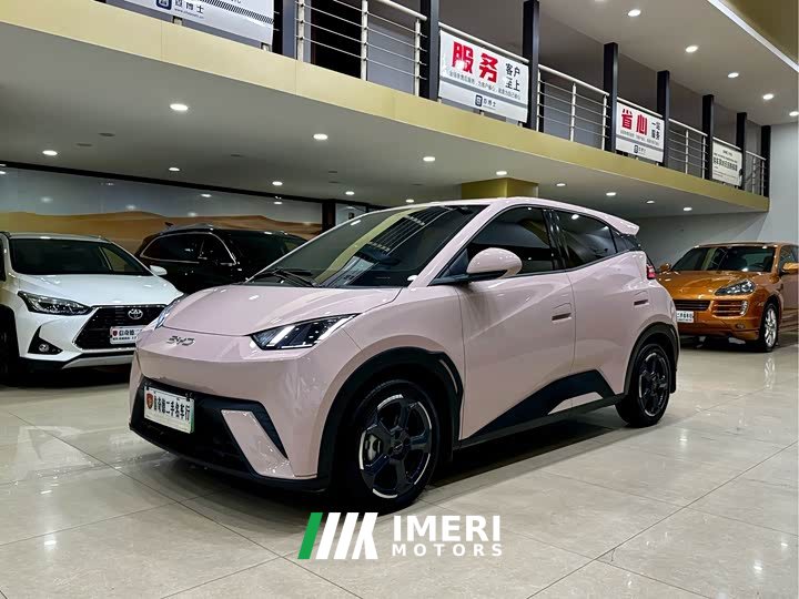 BYD Seagull Glory Edition 405km Flying Edition
