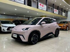 BYD Seagull Glory Edition 405km Flying Edition - photo 1
