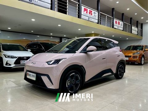 2024 BYD Seagull Glory Edition 405km Flying Edition - car from China