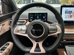 BYD Seagull Glory Edition 405km Flying Edition - photo 13