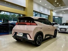 BYD Seagull Glory Edition 405km Flying Edition - photo 3
