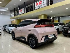 BYD Seagull Glory Edition 405km Flying Edition - photo 7
