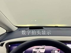 Buick Century 2.0T Seven-Seater Yun Shi Edition - photo 20