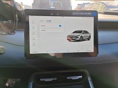BYD Qin PLUS DM-i Smart Drive Edition 55KM Leading - photo 20