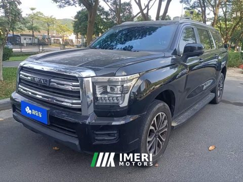2024 Haval H5 2.0T Automatic 2WD Leading Edition Gasoline - car from China