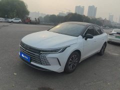 BYD Destroyer 05 Glory Edition DM-i 55KM Luxury - фото 1