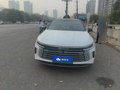 BYD Destroyer 05 Glory Edition DM-i 55KM Luxury - фото 2