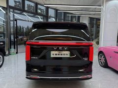 Great Wall WEY Shanshan New Energy Four-Wheel Drive Shanshan 8 - photo 19