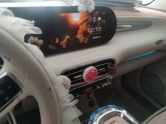 Ora Ballet Cat 401km Nutcracker Edition - ფოტო 9