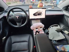 Tesla Model Y Rear-Wheel Drive - photo 5