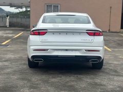 Geely Xingrui 2.0T Diesel Luxury - фото 8