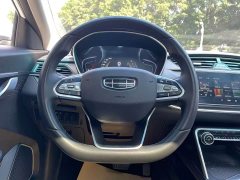 Geely Binrui 1.4T CVT F-Flagship - ფოტო 14