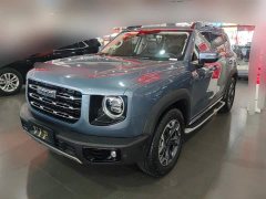 Great Wall Dachshund Facelift 2.0T DCT Four-wheel Drive Xiaotian Dog Edition - photo 1