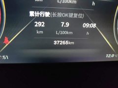GAC Aion GS4 270T Automatic Smart Tech Edition - фото 8