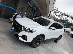 Haval H6 National Trend Edition 1.5T Automatic Urban Version - photo 1