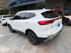 Haval H6 National Trend Edition 1.5T Automatic Urban Version - photo 3