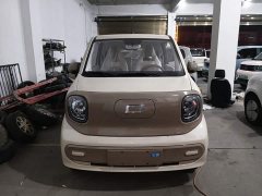 FAW Besturn Xiaoma 222km Colorful Edition - photo 2