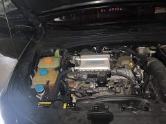 Trumpchi Leopard 270T DCT J16 - photo 20