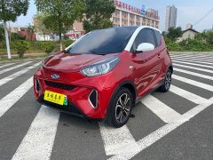 Chery Ant Facelift 150,000 Ant Fans Edition Ant Tide Version LFP Battery - photo 1