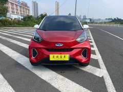 Chery Ant Facelift 150,000 Ant Fans Edition Ant Tide Version LFP Battery - photo 2