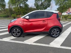 Chery Ant Facelift 150,000 Ant Fans Edition Ant Tide Version LFP Battery - photo 3