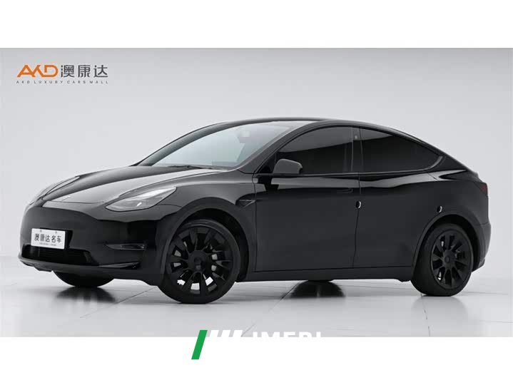 Tesla Model Y Standard Range RWD - ავტომობილი ჩინეთიდან