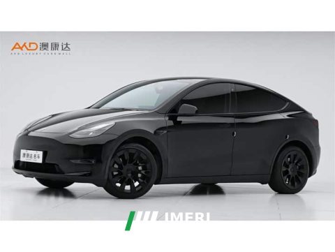 2021 Tesla Model Y Standard Range RWD - car from China