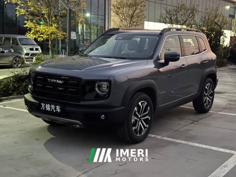 2025 Great Wall Dachshund 1.5T DCT Border Collie Edition - ავტომობილი ჩინეთიდან