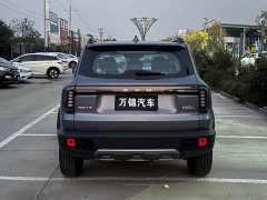 Great Wall Dachshund 1.5T DCT Border Collie Edition - фото 4