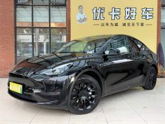 Tesla Model Y Standard Range RWD - ფოტო 1