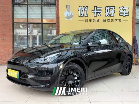 2021 Tesla Model Y Standard Range RWD - car from China