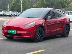 Tesla Model Y Long Range All-Wheel Drive - photo 1