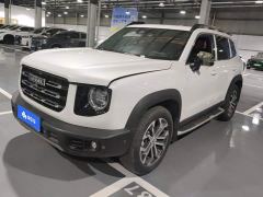 Great Wall Dachshund 1.5T DCT Two-Wheel Drive Malinois-Wangcai Edition - ფოტო 1