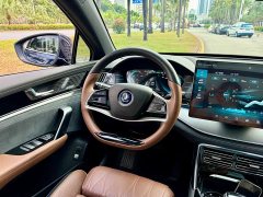 BYD EV AWDPerformance EditionFlagship Version - photo 13