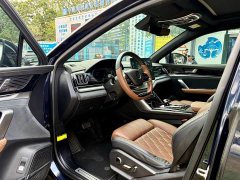 BYD EV AWDPerformance EditionFlagship Version - photo 8