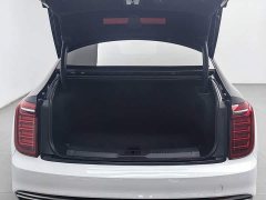 FAW Hongqi H9 3.0T Zhilian Qiling Four-Seat Edition - photo 16