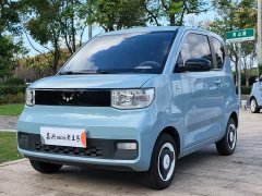 Wuling Hongguang MINIEV Deluxe Edition LFP Battery - фото 1